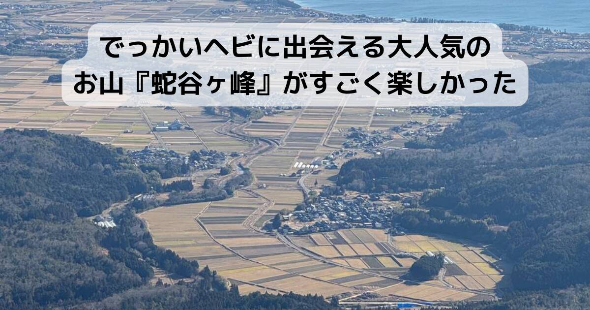 でっかいヘビに出会える大人気のお山『蛇谷ヶ峰』がすごく楽しかった