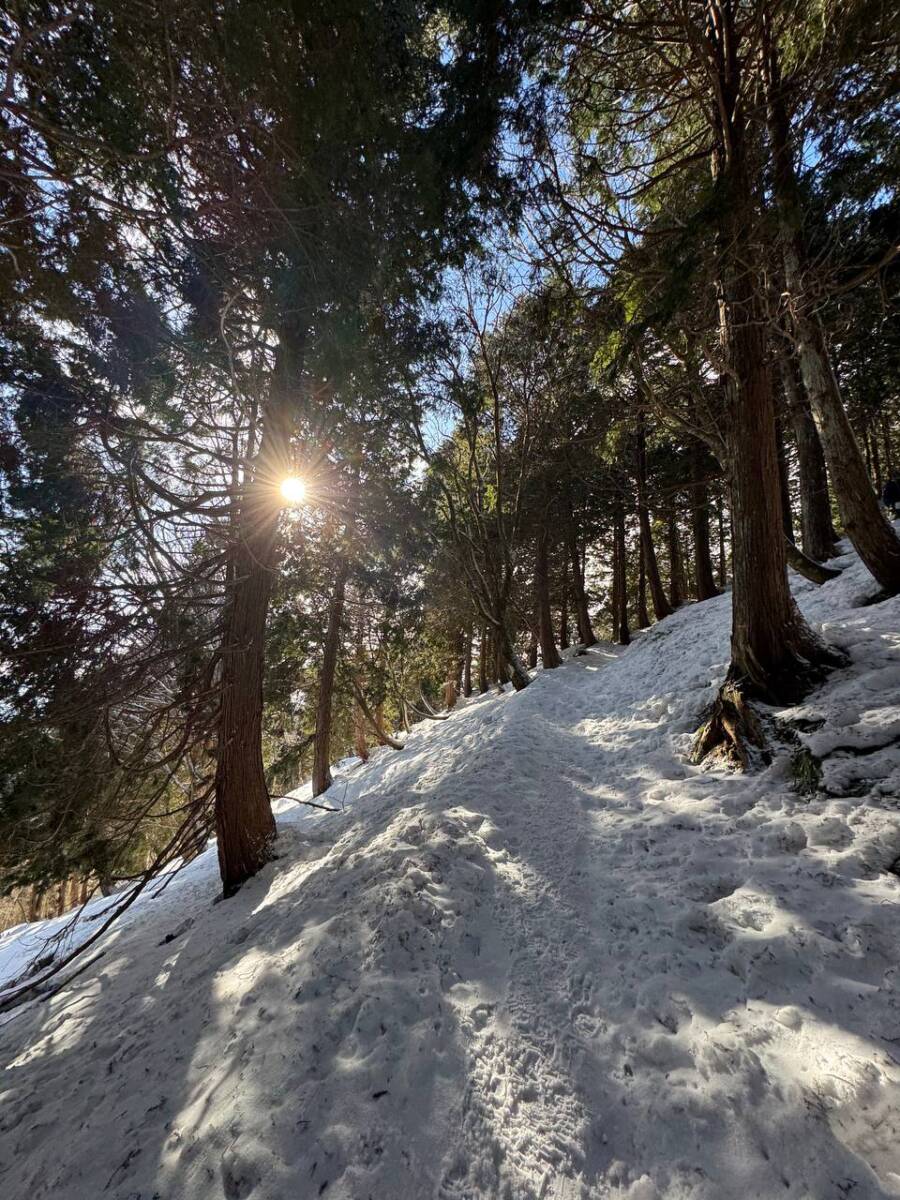 でっかいヘビに出会える大人気のお山『蛇谷ヶ峰』がすごく楽しかった