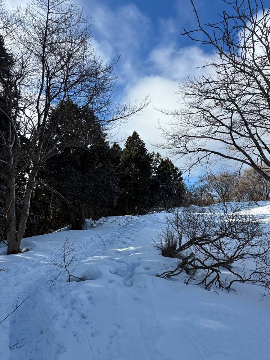 でっかいヘビに出会える大人気のお山『蛇谷ヶ峰』がすごく楽しかった