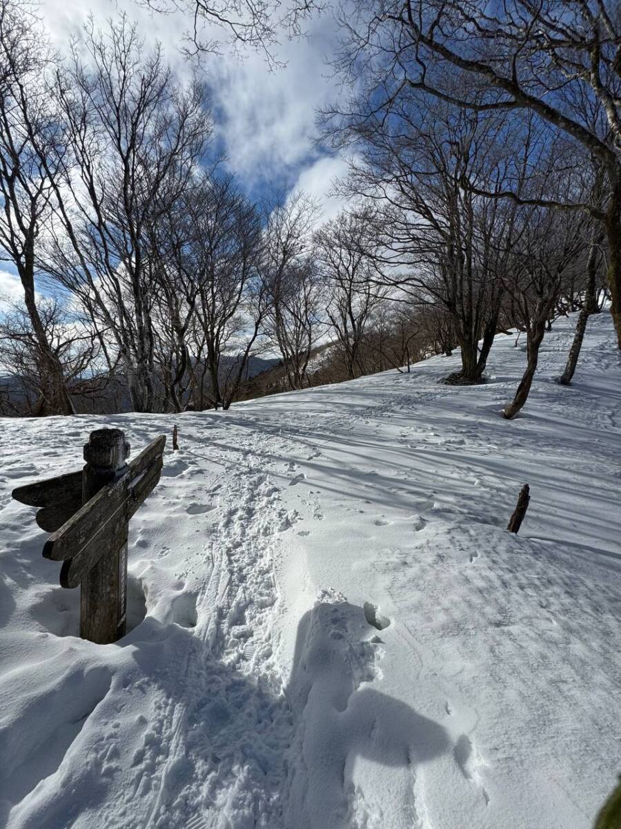 でっかいヘビに出会える大人気のお山『蛇谷ヶ峰』がすごく楽しかった