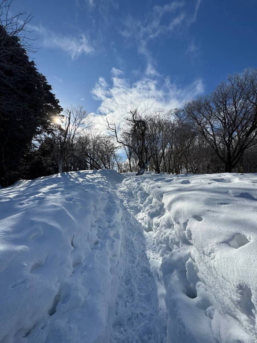 でっかいヘビに出会える大人気のお山『蛇谷ヶ峰』がすごく楽しかった