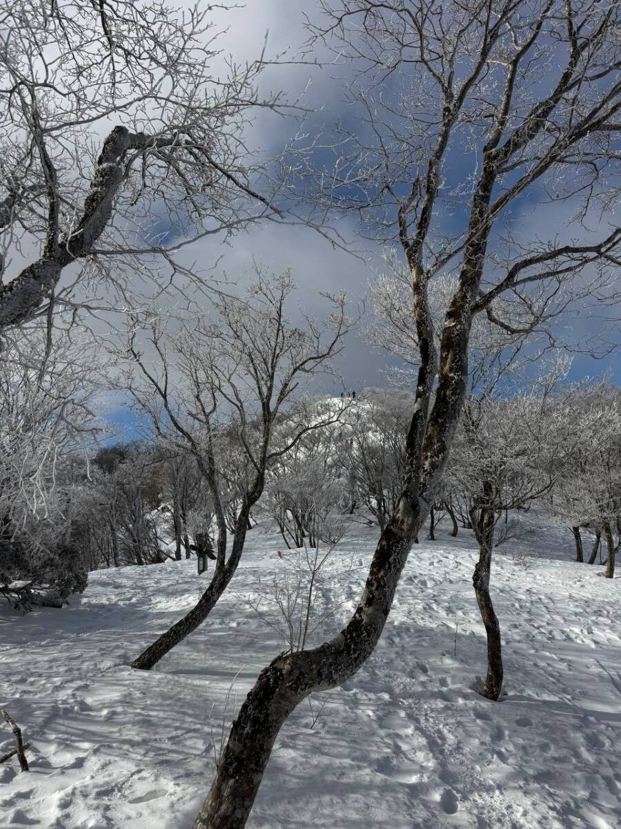 でっかいヘビに出会える大人気のお山『蛇谷ヶ峰』がすごく楽しかった