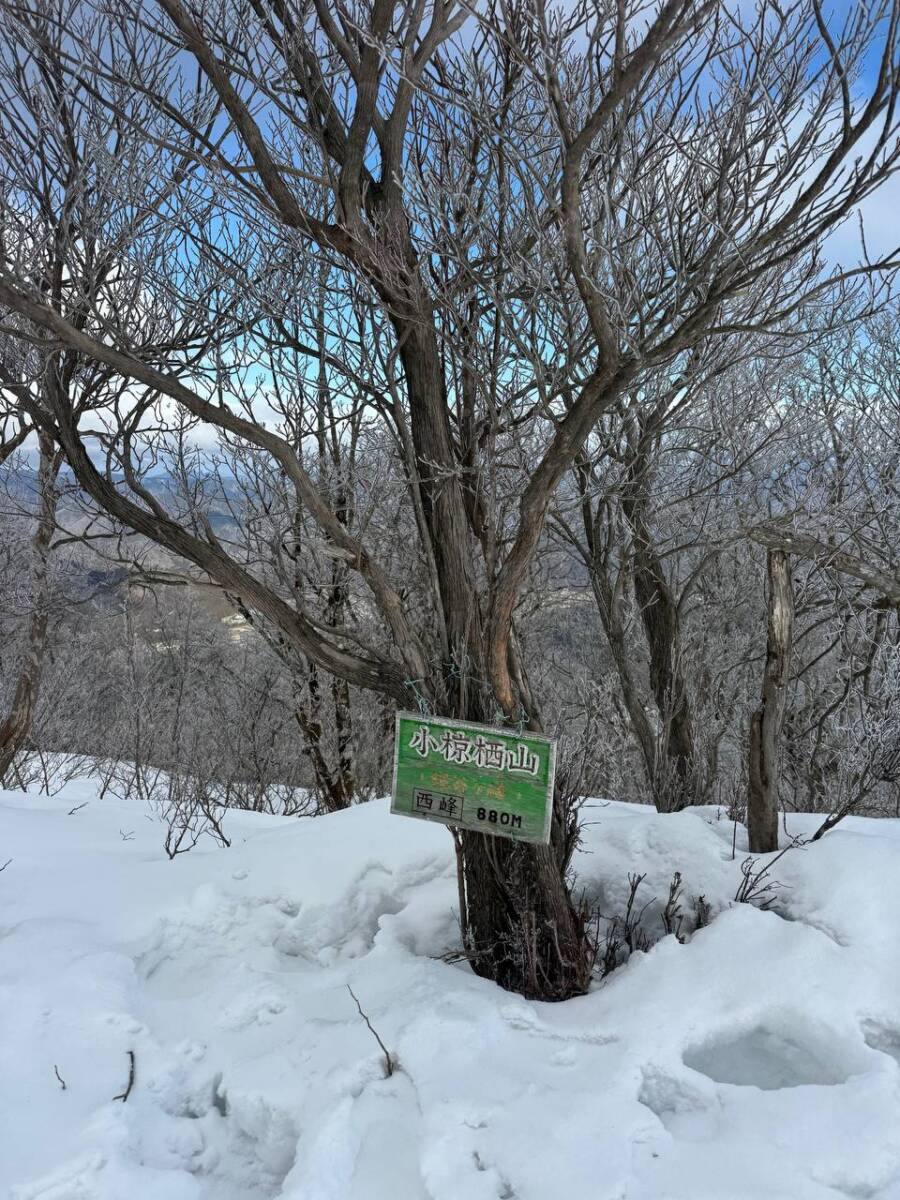 でっかいヘビに出会える大人気のお山『蛇谷ヶ峰』がすごく楽しかった