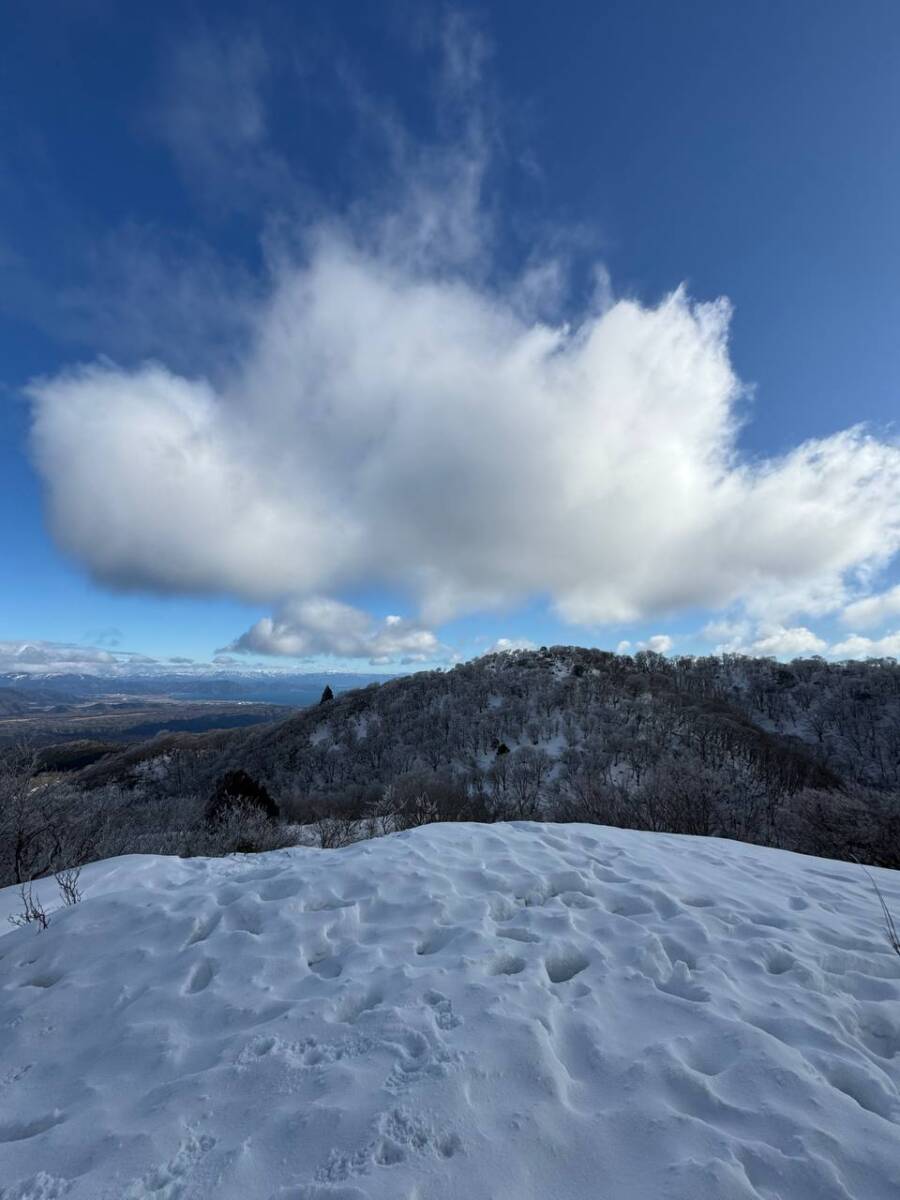 でっかいヘビに出会える大人気のお山『蛇谷ヶ峰』がすごく楽しかった