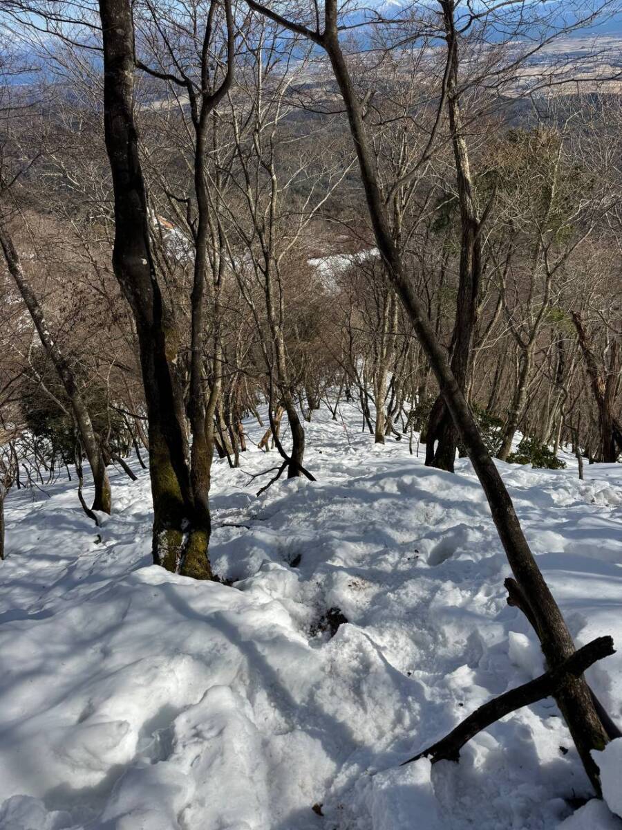 でっかいヘビに出会える大人気のお山『蛇谷ヶ峰』がすごく楽しかった