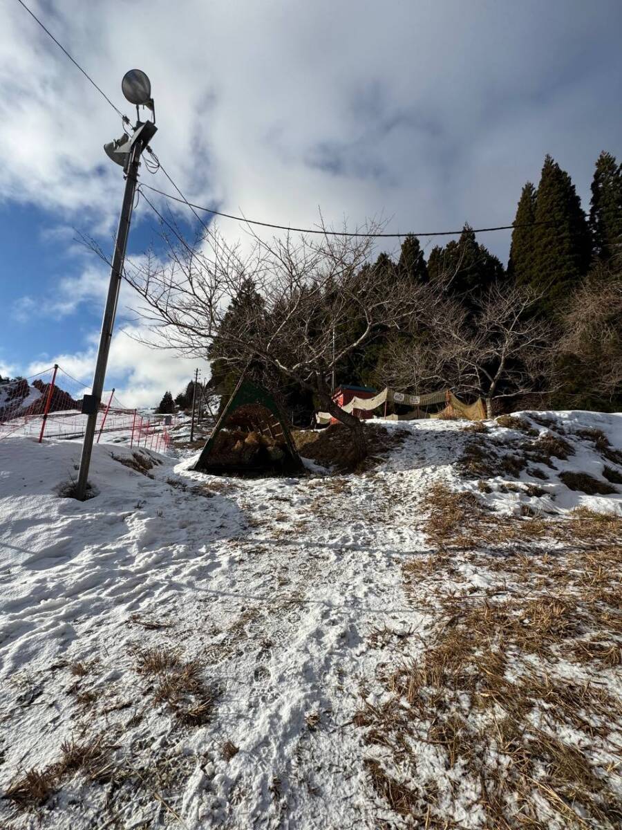 でっかいヘビに出会える大人気のお山『蛇谷ヶ峰』がすごく楽しかった