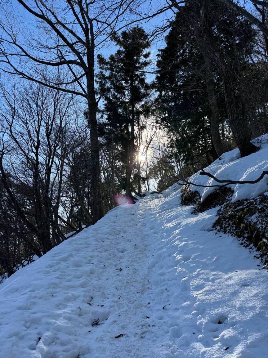 でっかいヘビに出会える大人気のお山『蛇谷ヶ峰』がすごく楽しかった