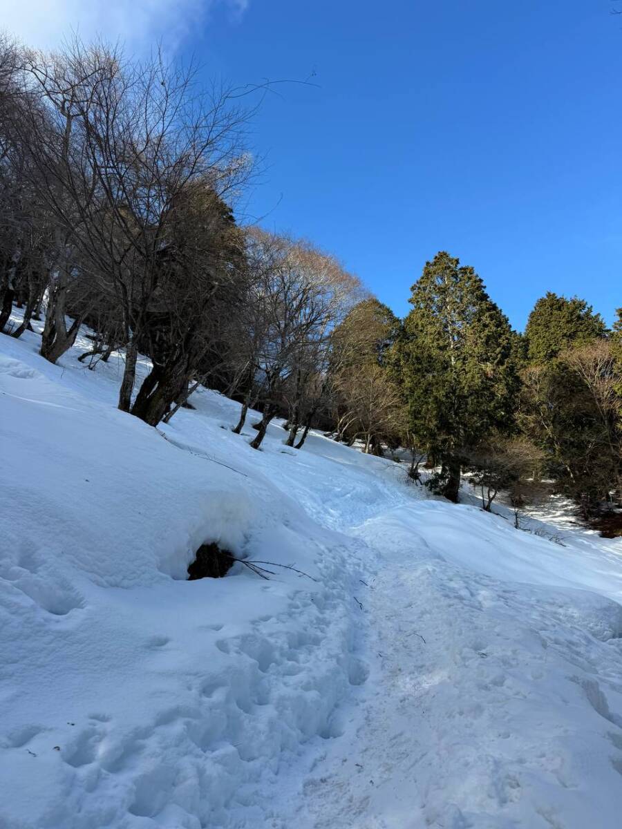 でっかいヘビに出会える大人気のお山『蛇谷ヶ峰』がすごく楽しかった