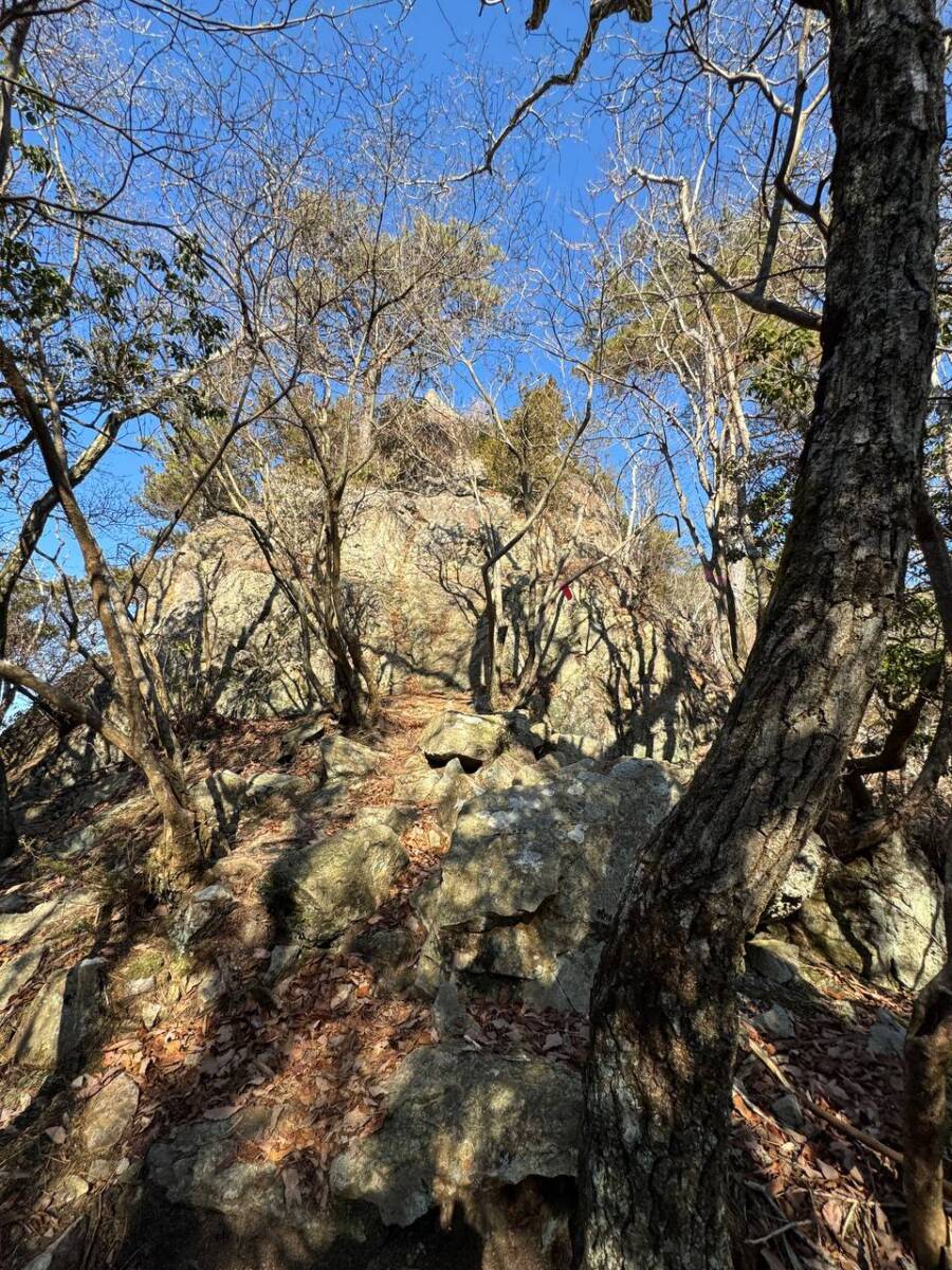 山頂からの眺めは絶景な丹波富士とも呼ばれる『白髪岳』