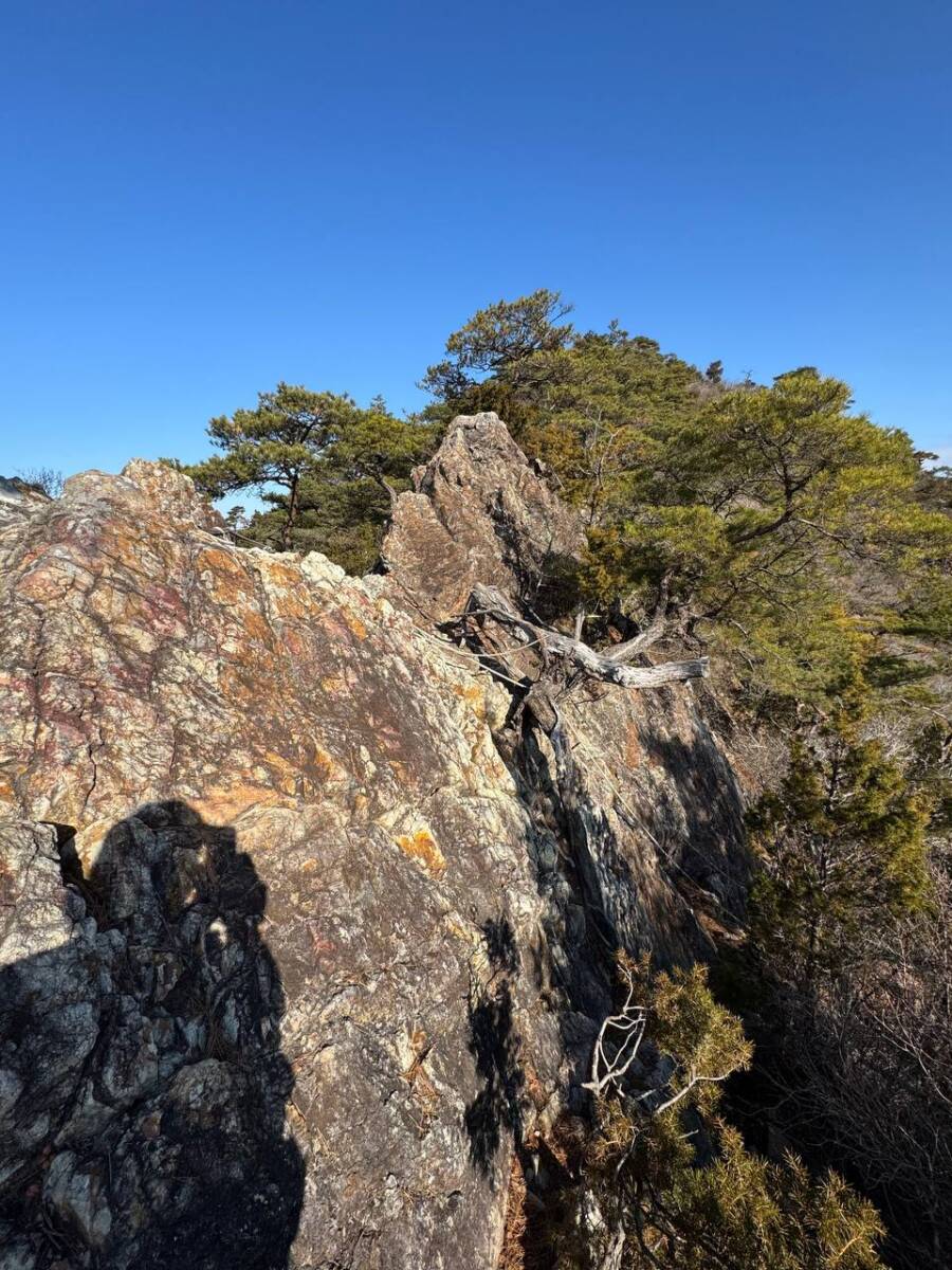 山頂からの眺めは絶景な丹波富士とも呼ばれる『白髪岳』