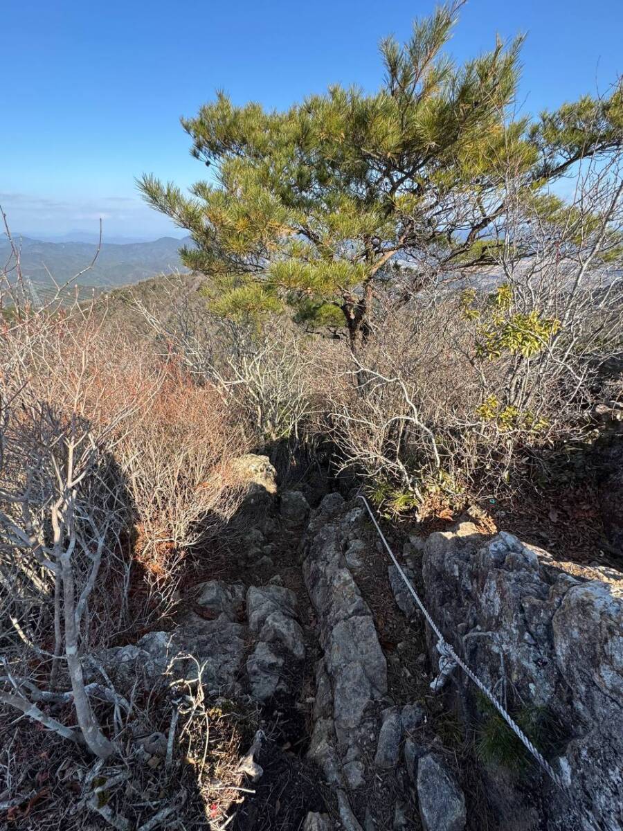 山頂からの眺めは絶景な丹波富士とも呼ばれる『白髪岳』