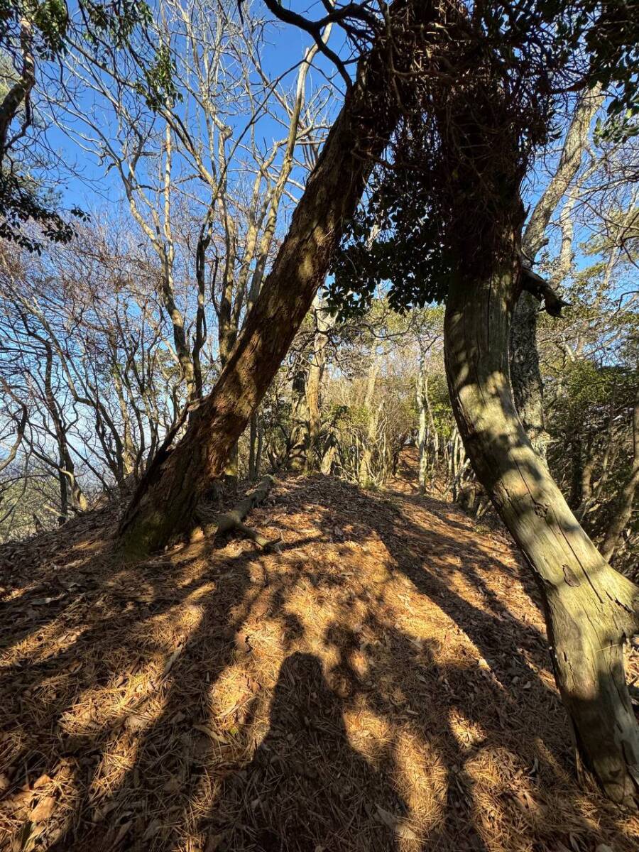 山頂からの眺めは絶景な丹波富士とも呼ばれる『白髪岳』