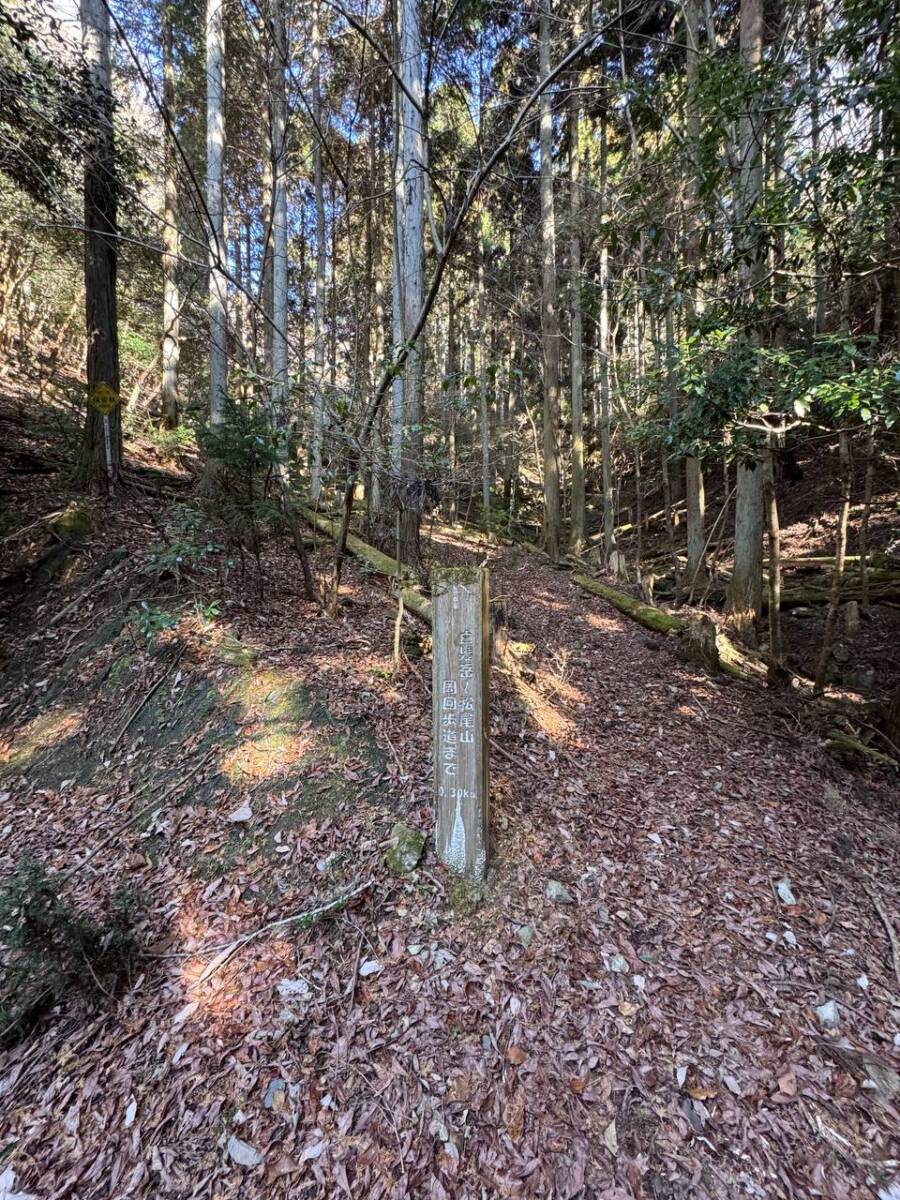 山頂からの眺めは絶景な丹波富士とも呼ばれる『白髪岳』