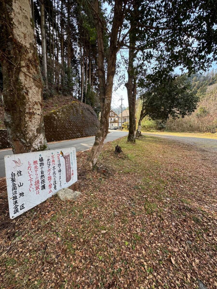 山頂からの眺めは絶景な丹波富士とも呼ばれる『白髪岳』