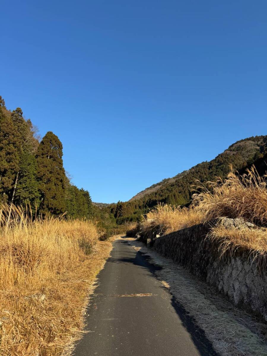 山頂からの眺めは絶景な丹波富士とも呼ばれる『白髪岳』