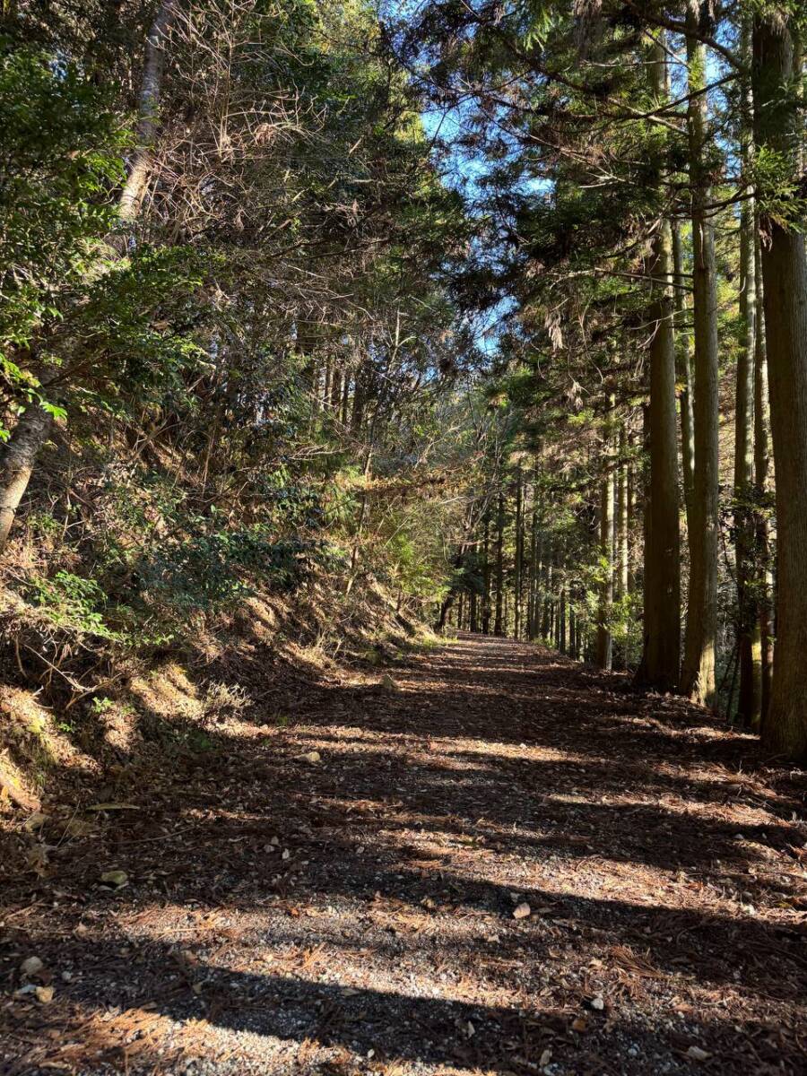 山頂からの眺めは絶景な丹波富士とも呼ばれる『白髪岳』