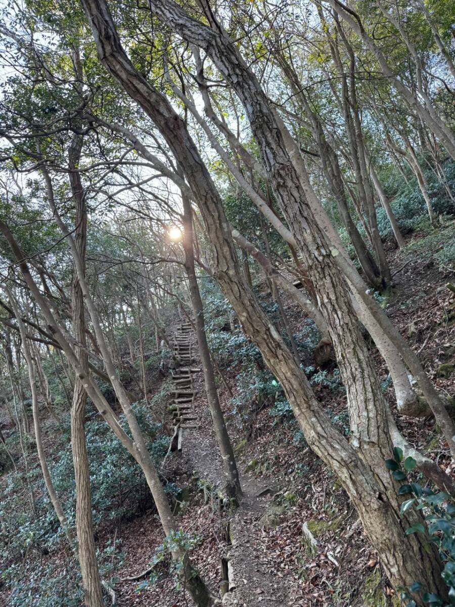 山頂からの眺めは絶景な丹波富士とも呼ばれる『白髪岳』