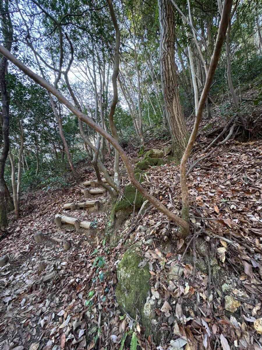 山頂からの眺めは絶景な丹波富士とも呼ばれる『白髪岳』