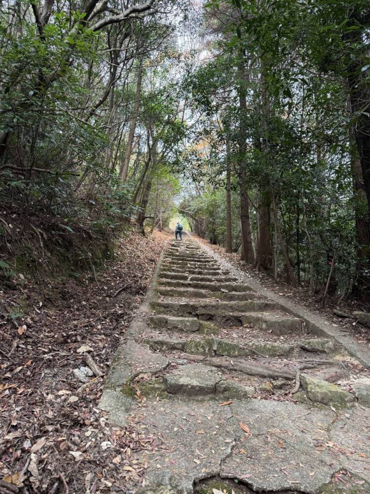 大人気の播磨アルプス、絶景の稜線を歩ける楽しいハイキング 『高御位山』