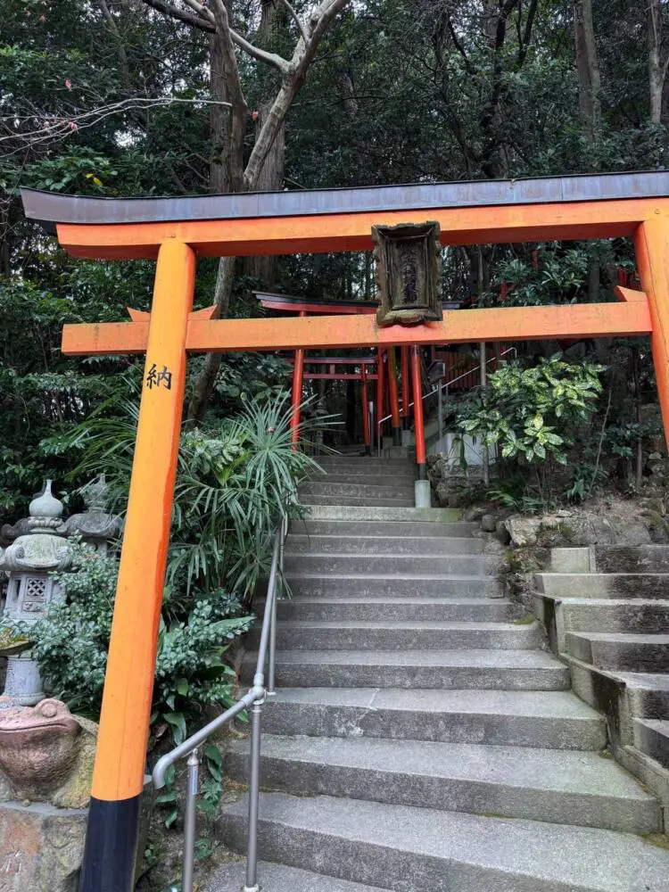 大人気の播磨アルプス、絶景の稜線を歩ける楽しいハイキング