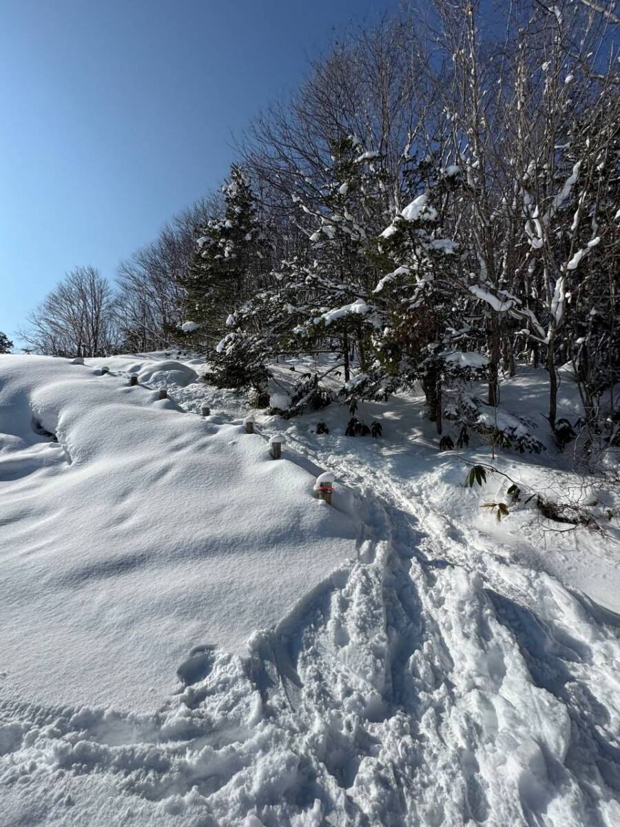 雪山をめっちゃ楽しめる岐阜県の楽しい山『位山』