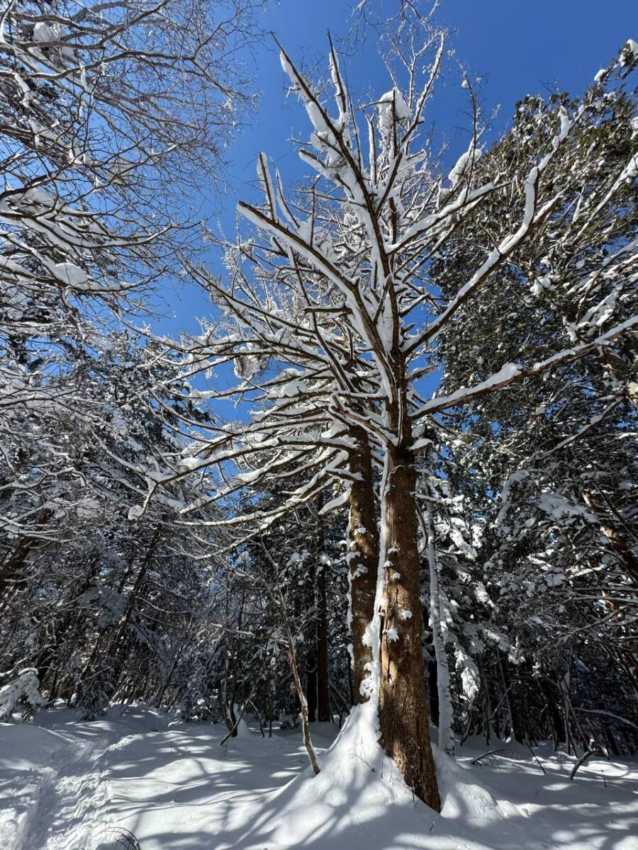 雪山をめっちゃ楽しめる岐阜県の楽しい山『位山』