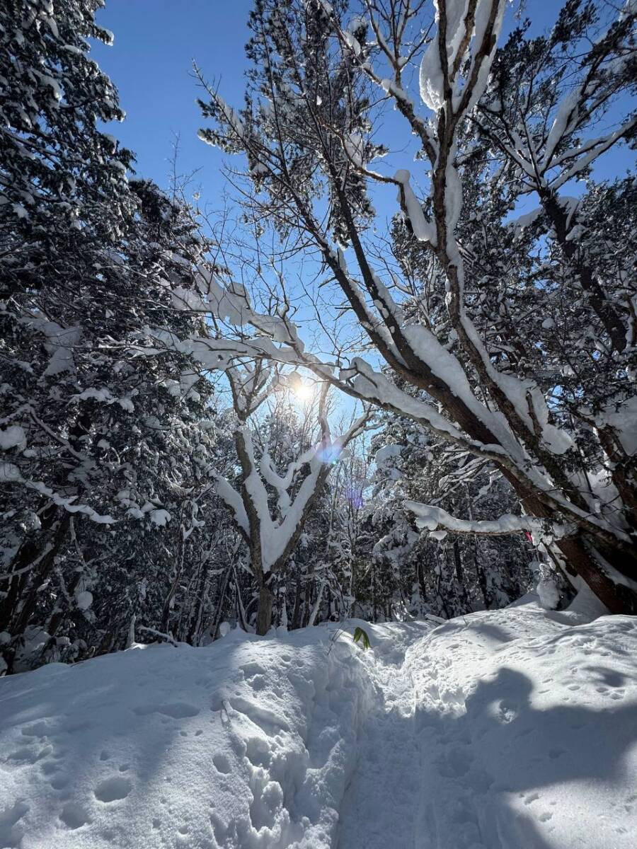 雪山をめっちゃ楽しめる岐阜県の楽しい山『位山』