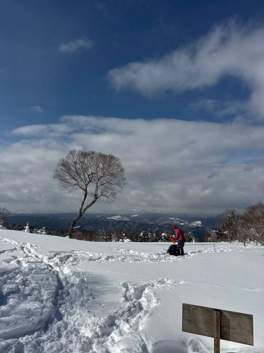 雪山をめっちゃ楽しめる岐阜県の楽しい山『位山』