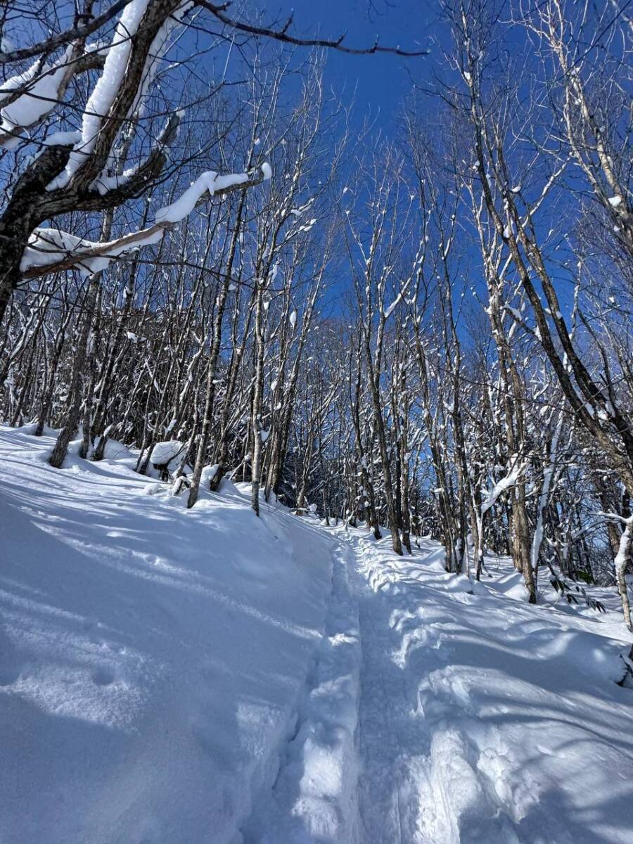 雪山をめっちゃ楽しめる岐阜県の楽しい山『位山』