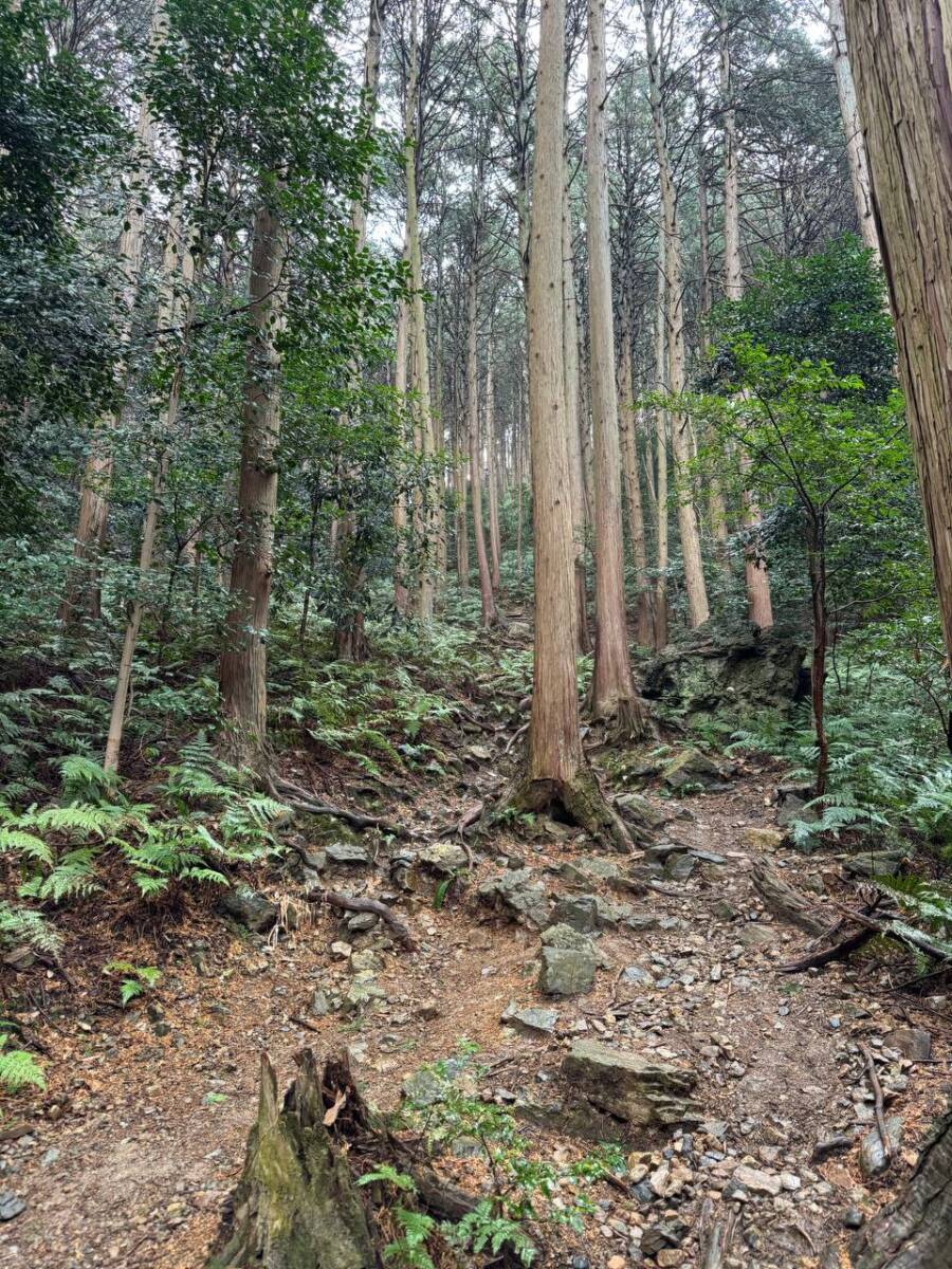 美しい山容で近江富士とも称される御上神社の御神体 『三上山』