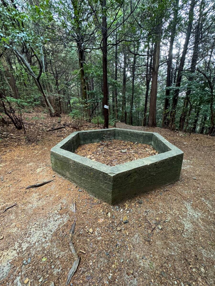 美しい山容で近江富士とも称される御上神社の御神体 『三上山』