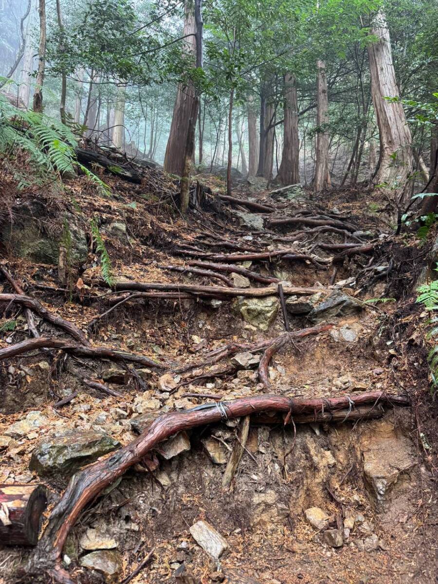 美しい山容で近江富士とも称される御上神社の御神体 『三上山』