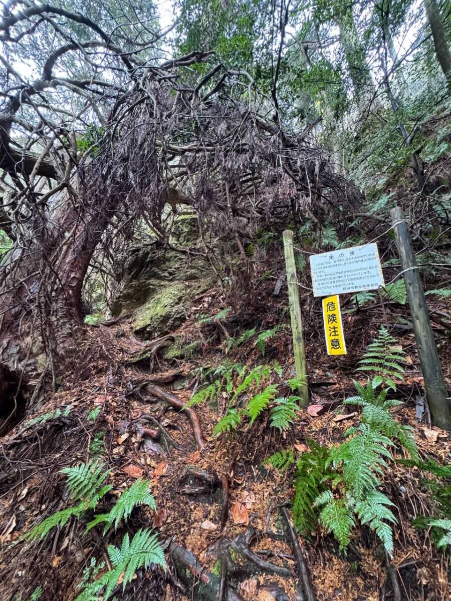 美しい山容で近江富士とも称される御上神社の御神体 『三上山』