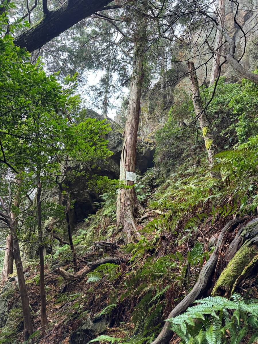 美しい山容で近江富士とも称される御上神社の御神体 『三上山』