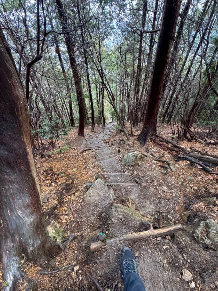 美しい山容で近江富士とも称される御上神社の御神体 『三上山』