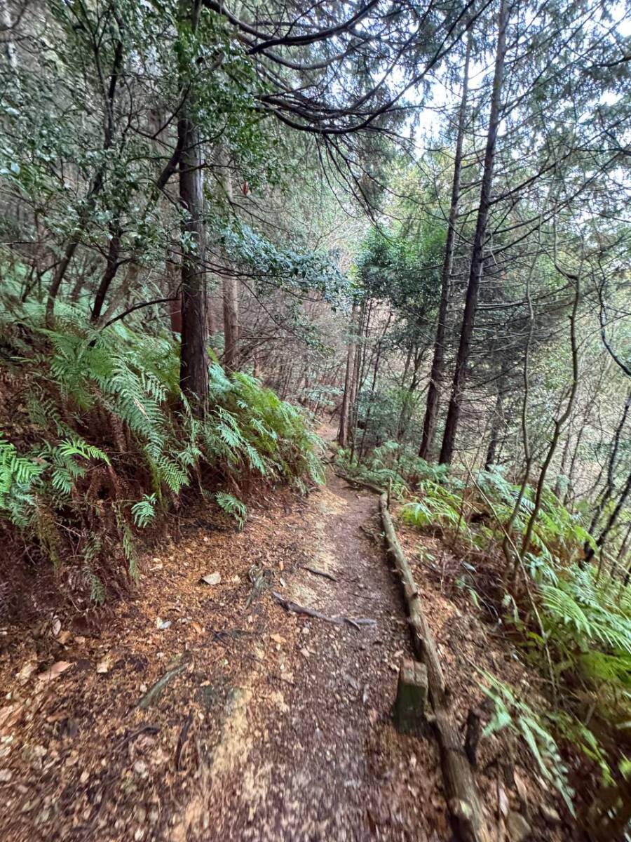 美しい山容で近江富士とも称される御上神社の御神体 『三上山』