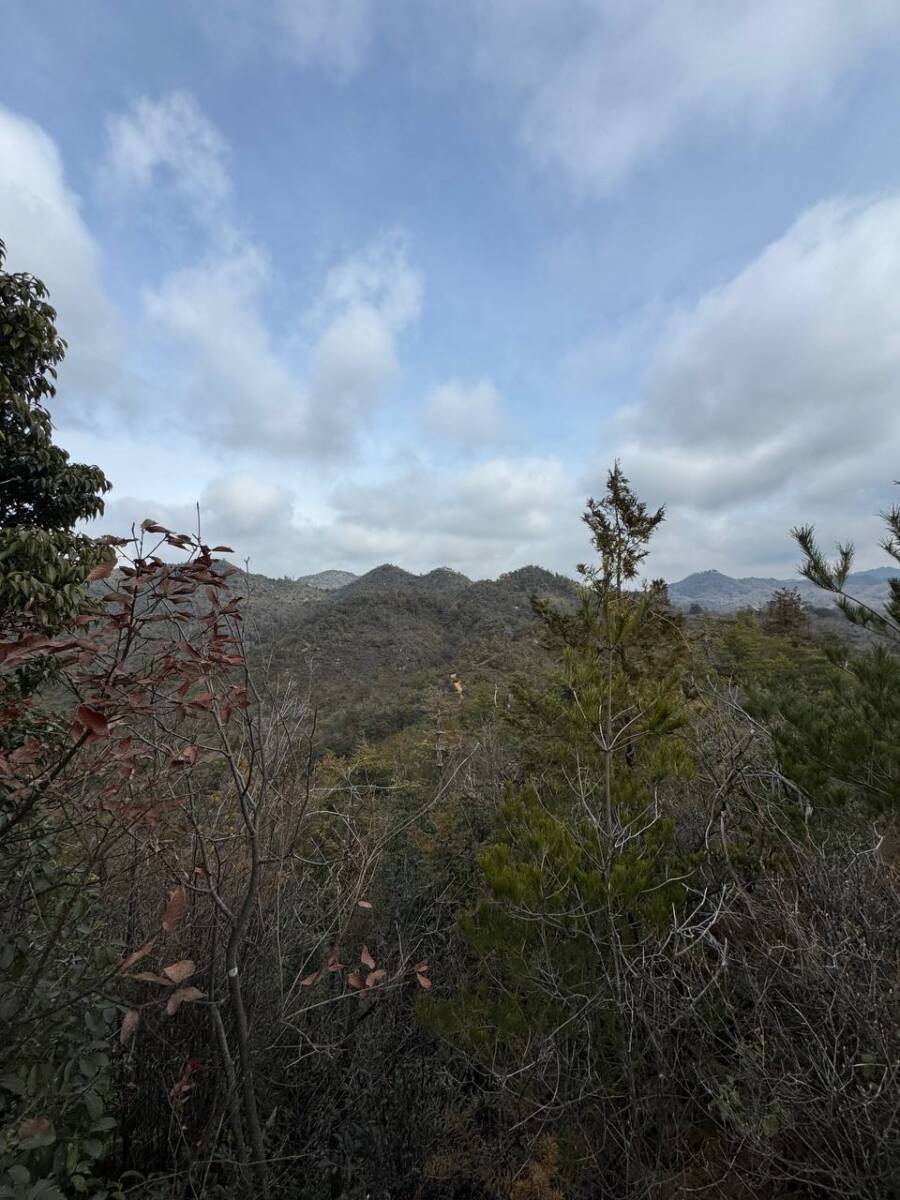 美しい山容で近江富士とも称される御上神社の御神体 『三上山』