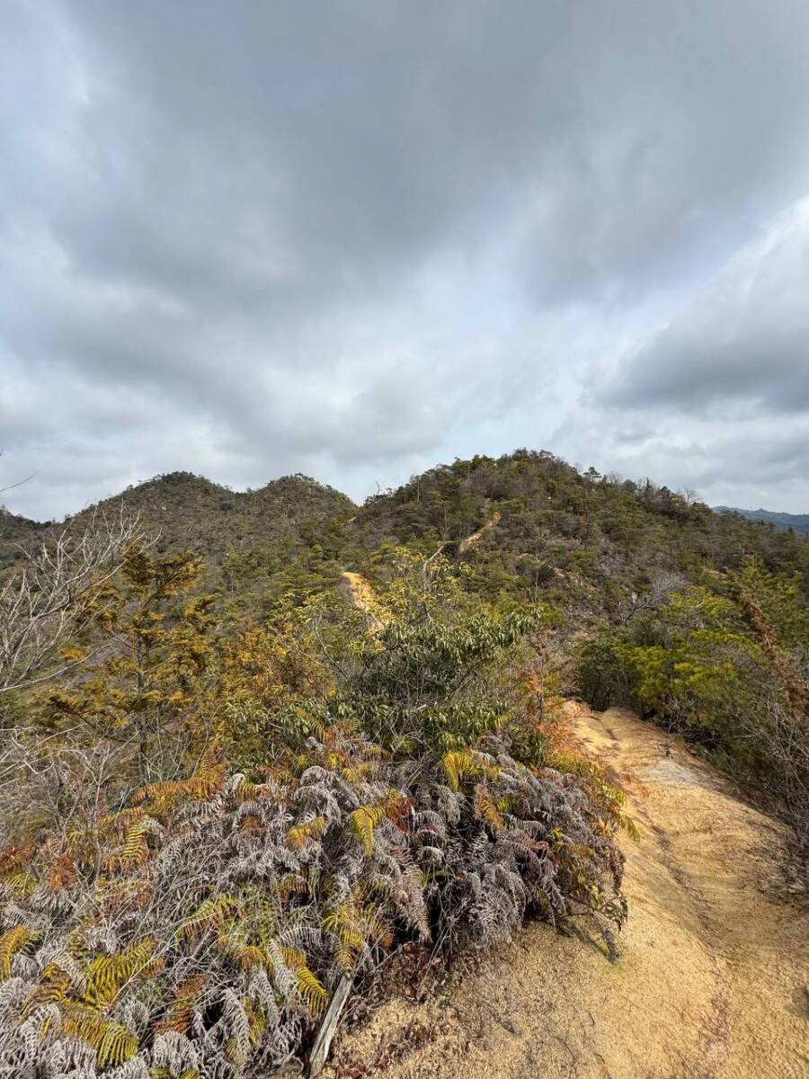 美しい山容で近江富士とも称される御上神社の御神体 『三上山』