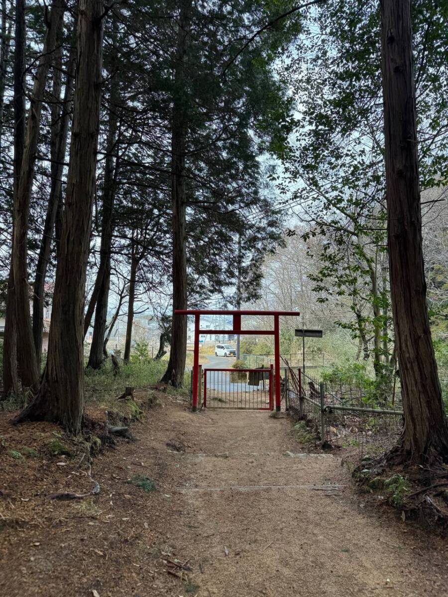 美しい山容で近江富士とも称される御上神社の御神体 『三上山』