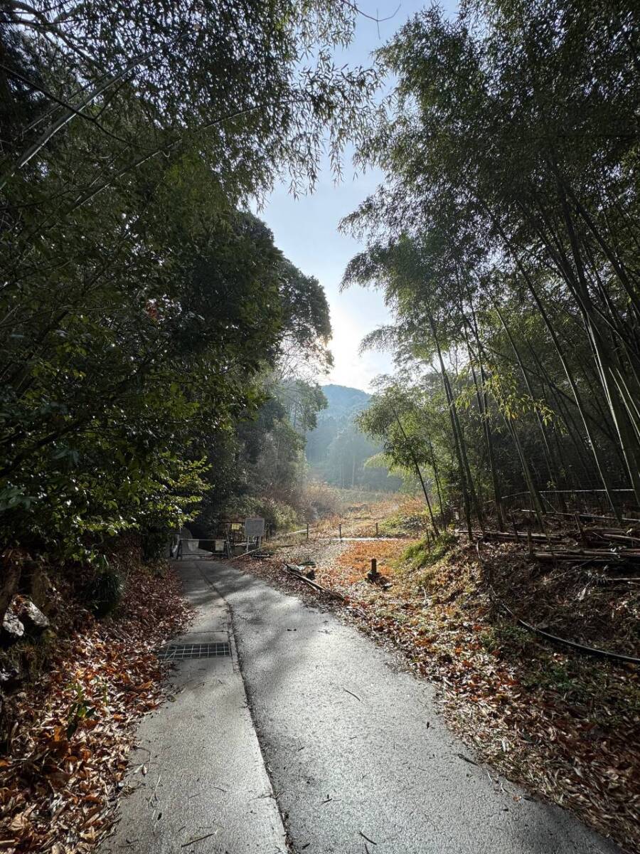 美しい山容で近江富士とも称される御上神社の御神体 『三上山』