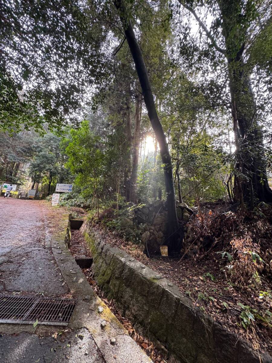 美しい山容で近江富士とも称される御上神社の御神体 『三上山』