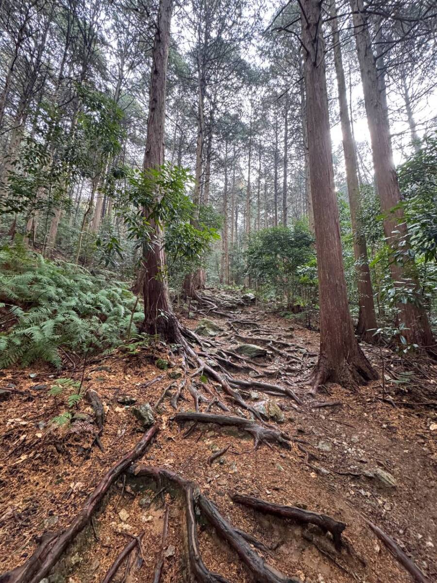 美しい山容で近江富士とも称される御上神社の御神体 『三上山』