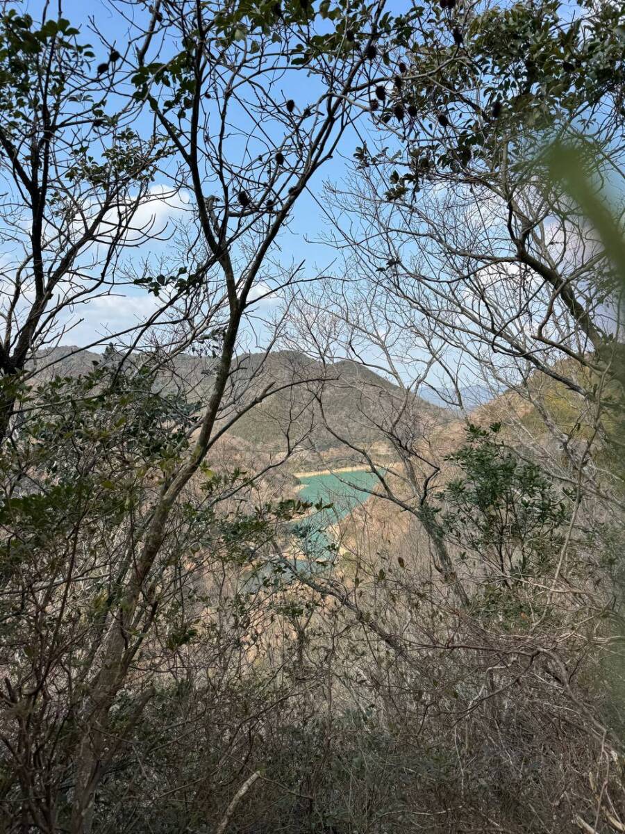 淡路島最高峰「諭鶴羽山」自然や海、神社など見どころ沢山の山