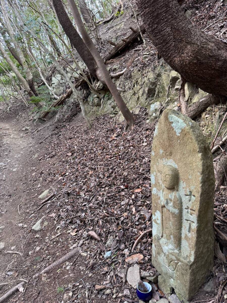 淡路島最高峰「諭鶴羽山」自然や海、神社など見どころ沢山の山