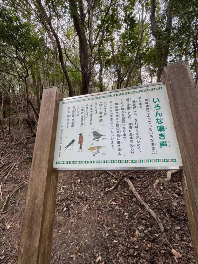 びわ湖—自然と人間 淡路島最高峰「諭鶴羽山」自然や海、神社など見どころ沢山の山