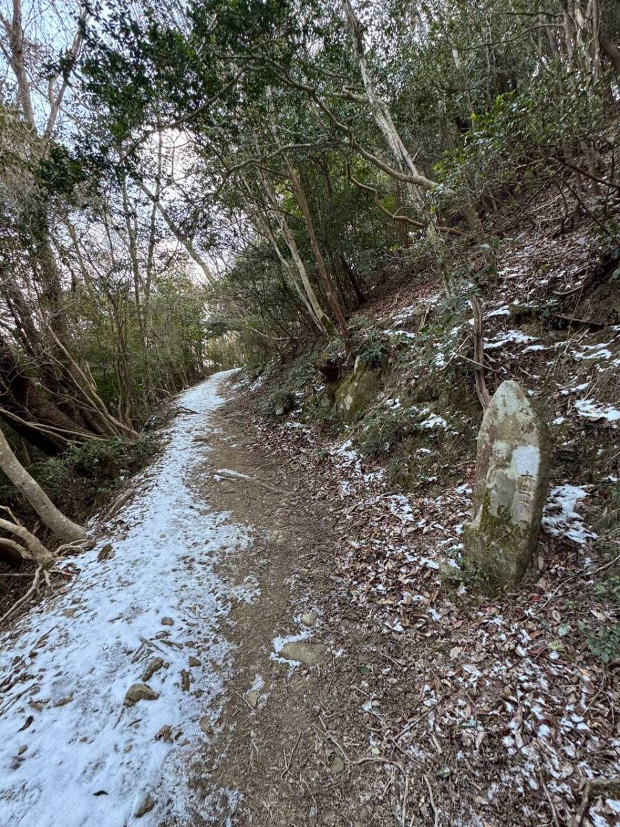 淡路島最高峰「諭鶴羽山」自然や海、神社など見どころ沢山の山