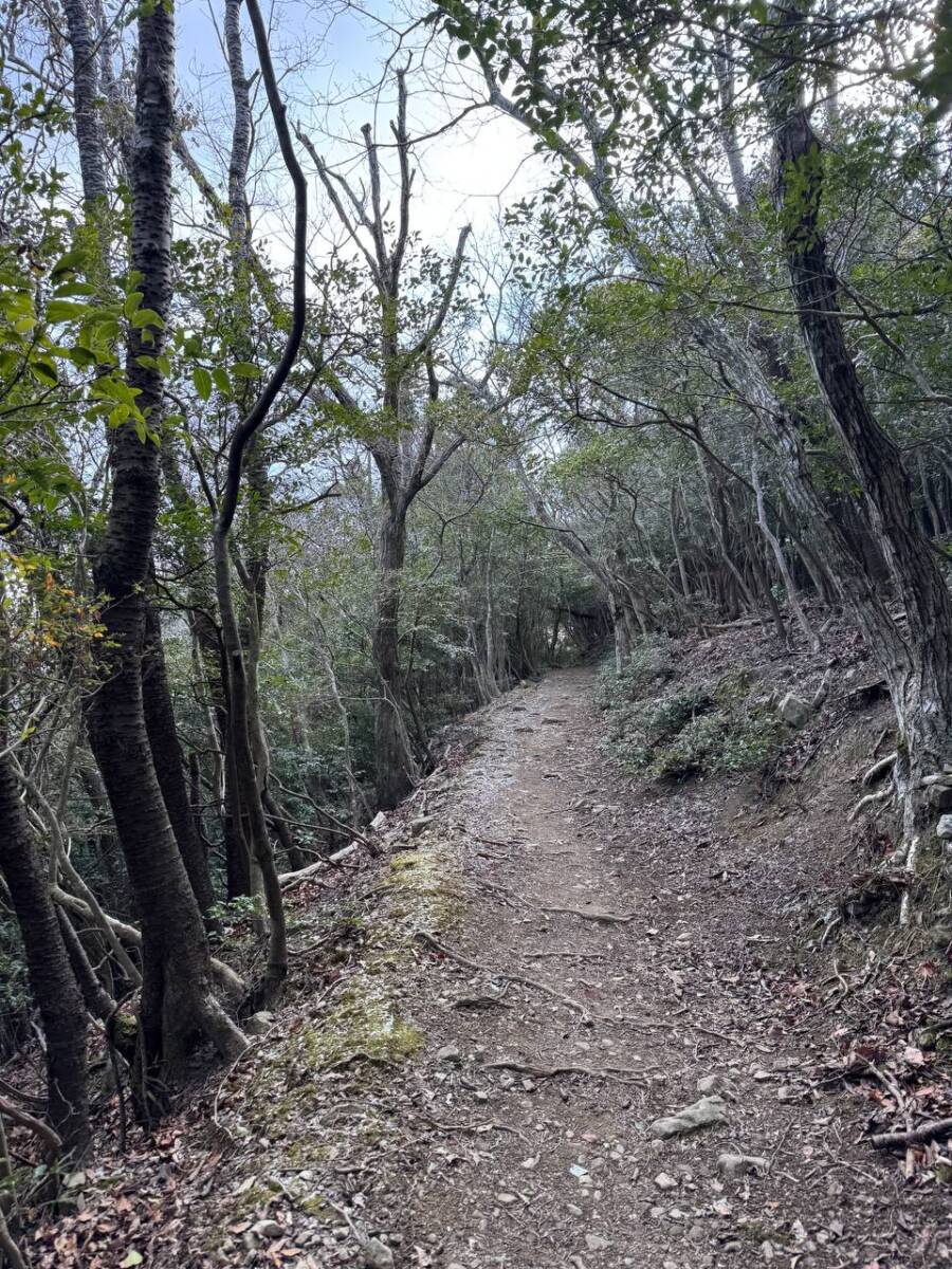 淡路島最高峰「諭鶴羽山」自然や海、神社など見どころ沢山の山