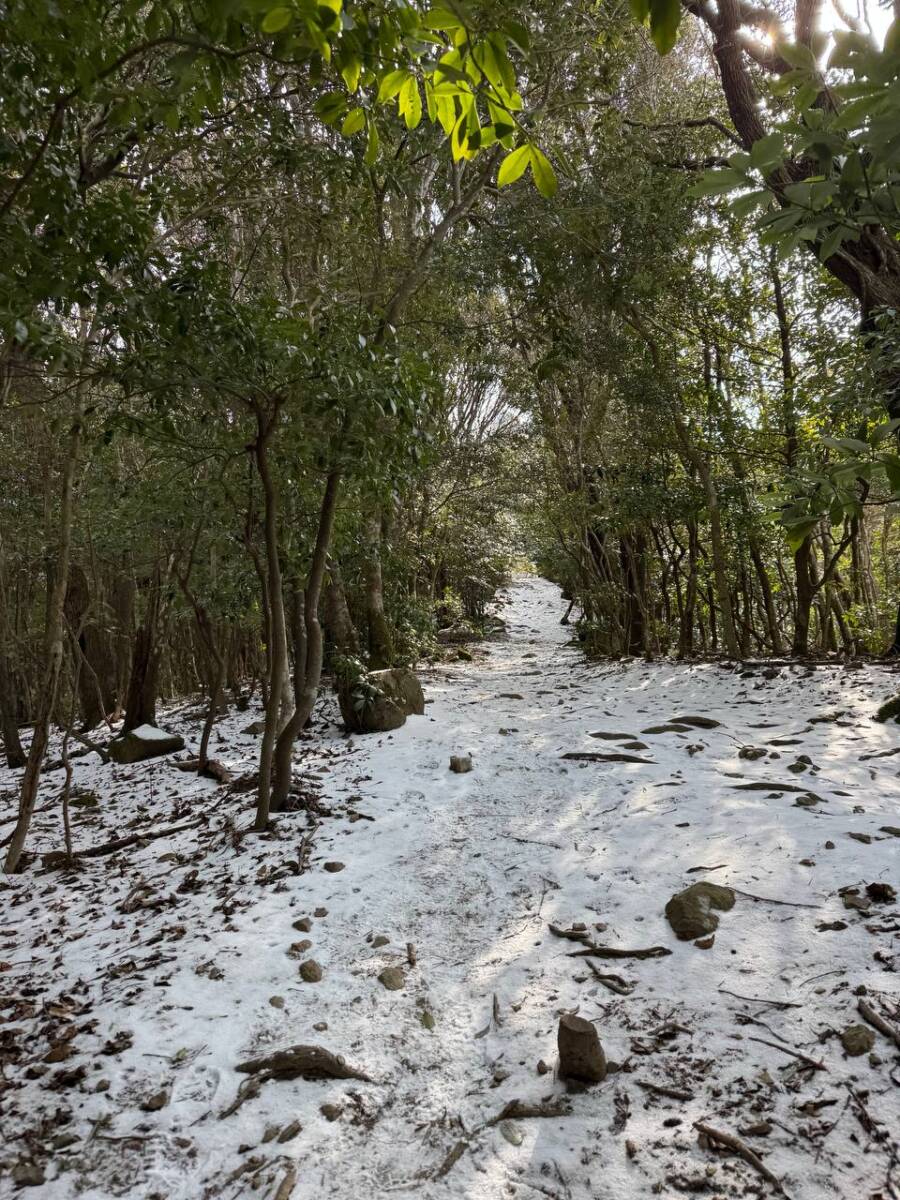 淡路島最高峰「諭鶴羽山」自然や海、神社など見どころ沢山の山