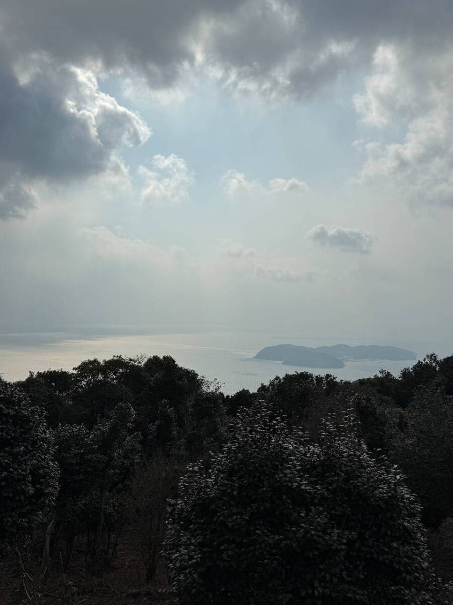 淡路島最高峰「諭鶴羽山」自然や海、神社など見どころ沢山の山