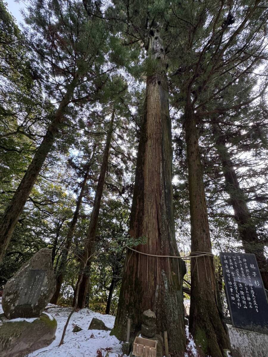 淡路島最高峰「諭鶴羽山」自然や海、神社など見どころ沢山の山